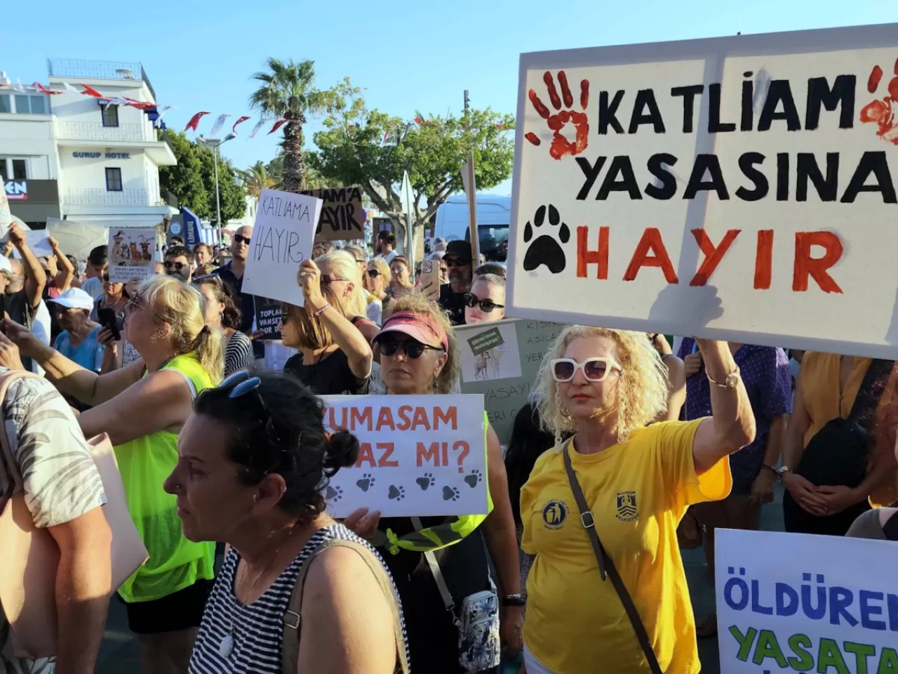 Bodrum'da 'ötenazi yasası' protestosu düzenlendi