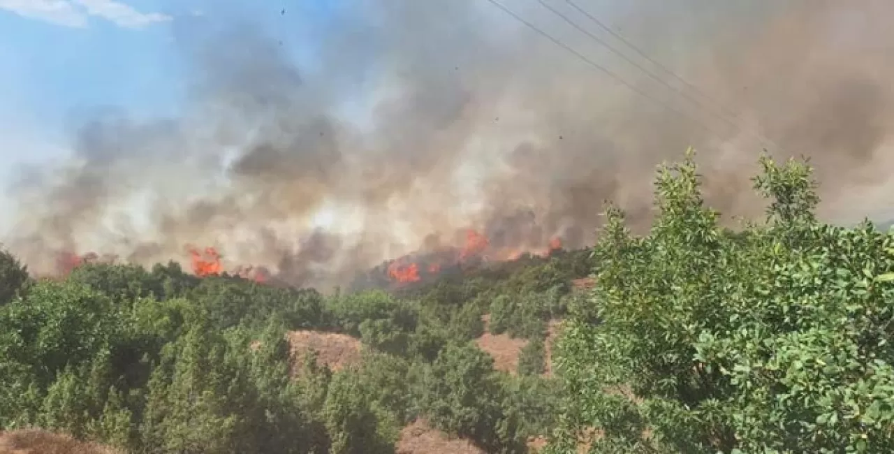 Bingöl'de orman yangını: Bölgedeki evler boşaltıldı