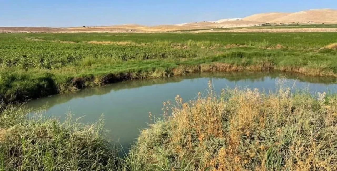 Harran Ovası'nda dev obruklar: Çiftçiler endişeli!