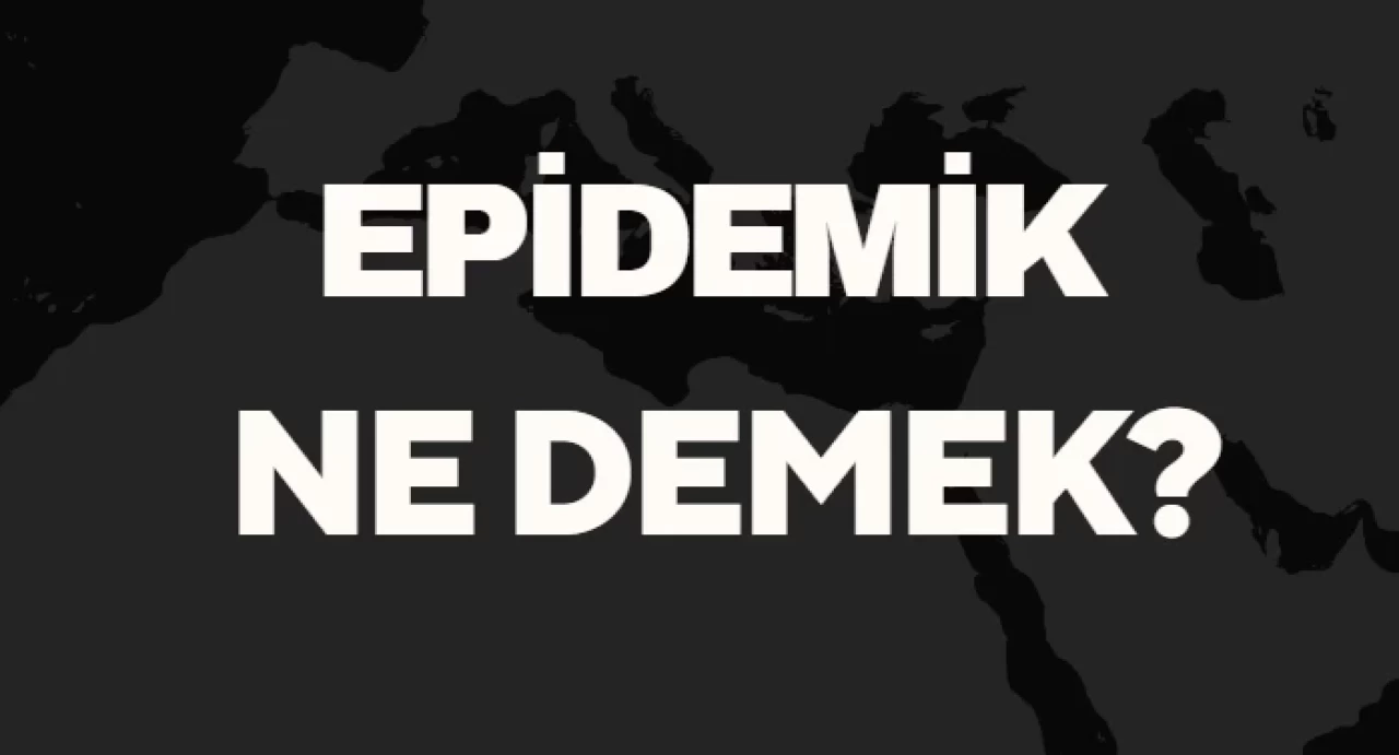 Epidemik Ne Demek TDK? Anlamı ve Örnek Kullanım Alanları