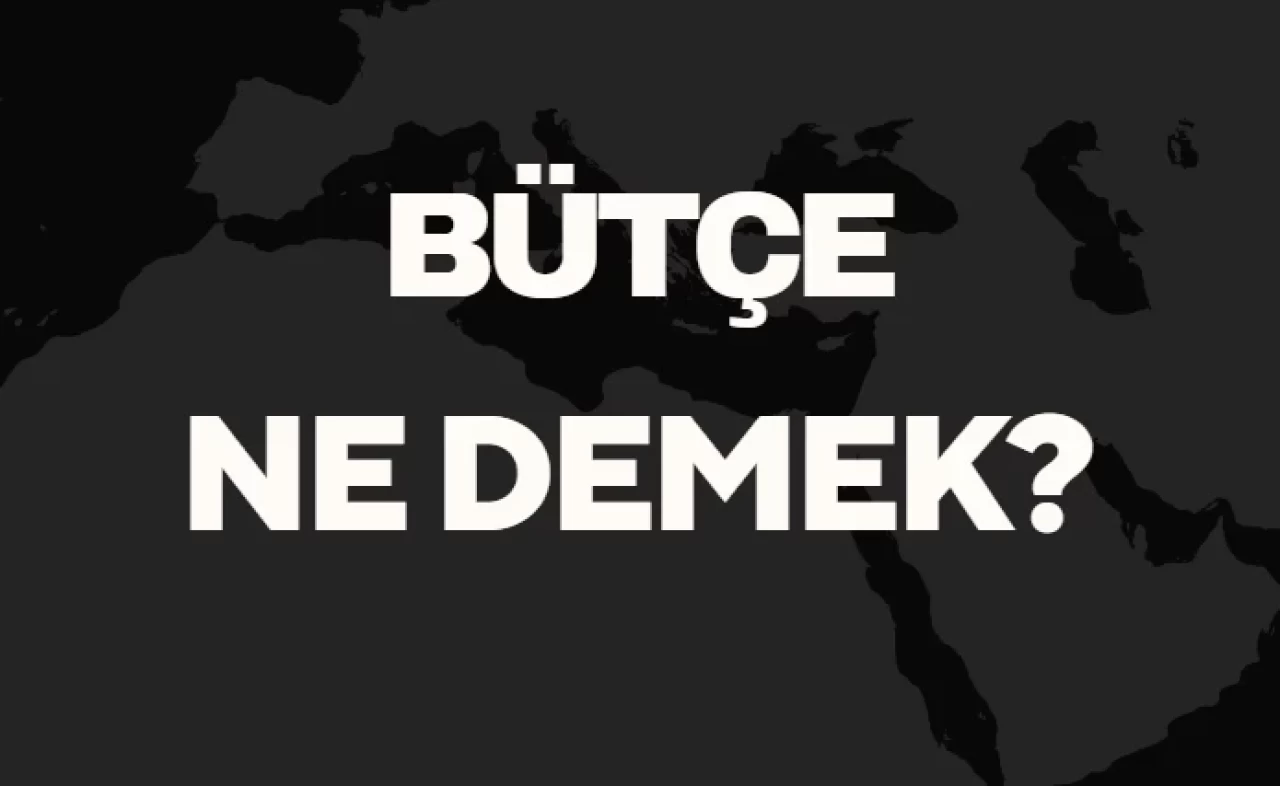 Bütçe Ne Demek TDK? Anlamı ve Örnek Kullanım Alanları