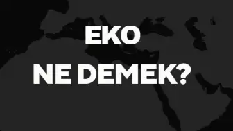 Eko Ne Demek? Fransızca "Eko" Kelimesi ve Yankı Anlamı Üzerine Örneklerle Açıklama