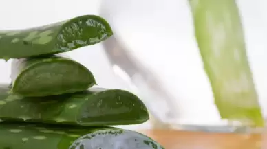 Aloe vera nedir? Aloe vera faydaları nelerdir?