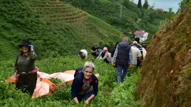 Çay Üreticileri Tepkili, AKP'li Vekilden Dikkat Çeken Açıklama