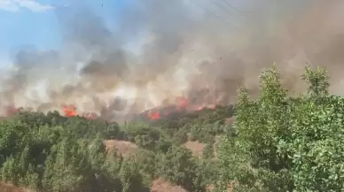 Bingöl'de orman yangını: Bölgedeki evler boşaltıldı