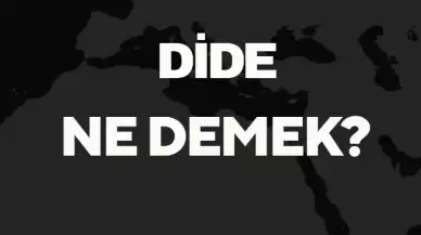 Dide Ne Demek? TDK Anlamına Göre Dide Sözlük Anlamı Nedir?