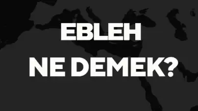 Ebleh Ne Demek TDK? Anlamı ve Örnek Kullanım Alanları