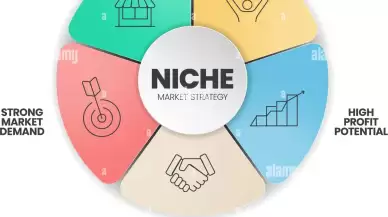 Niche Market Nedir?