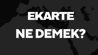 Ekarte Ne Demek TDK? Anlamı ve Örnek Kullanım Alanları