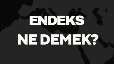 Endeks Ne Demek TDK? Anlamı ve Örnek Kullanım Alanları