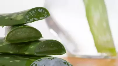 Aloe vera nedir? Aloe vera faydaları nelerdir?