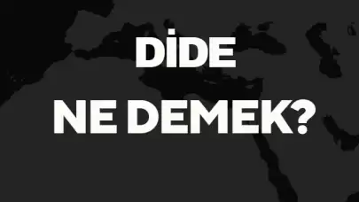 Dide Ne Demek? TDK Anlamına Göre Dide Sözlük Anlamı Nedir?