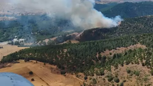 Türkiye'de iki ilde çıkan orman yangınları kontrol altına alındı