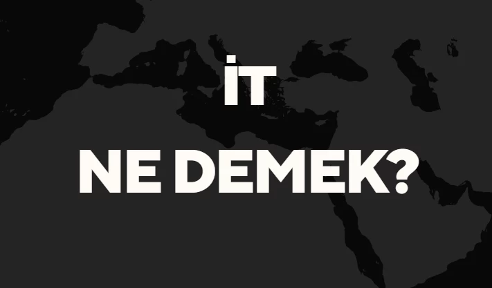 "İt" Ne Demek TDK? Anlamı ve Örnek Kullanım Alanları