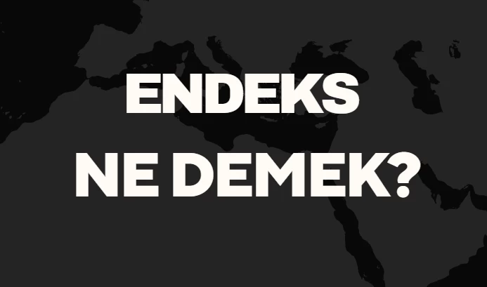 Endeks Ne Demek TDK? Anlamı ve Örnek Kullanım Alanları